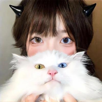 猛虎3
